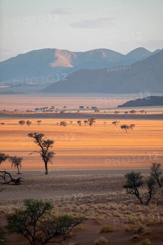 Dry landscape in the NamibRand nature reserve, behind Naukluft Mountains, Namib Desert, Namibia