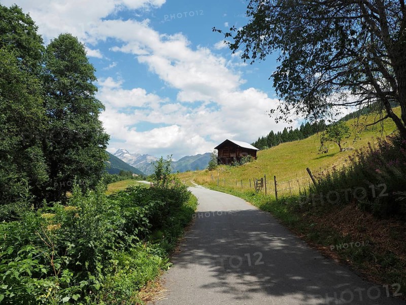 A rural road leads through rolling meadows, with a barn and mountains in the background, Bellwald, Goms, Canton of Valais, Switzerland