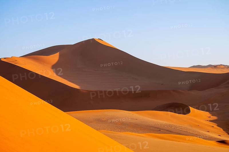 Red and yellow sand dunes of the Namib, Namib Desert, Namib-Naukluft National Park, Namibia