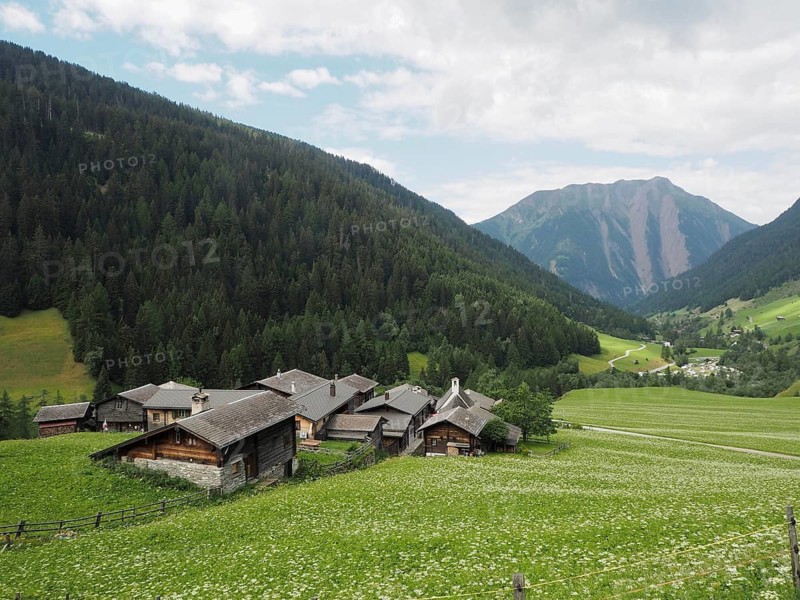 The village of Fäld, also known as Imfeld, surrounded by green fields and dense forests in an alpine mountain landscape, Binntal Landscape Park, Goms, Canton of Valais, Switzerland