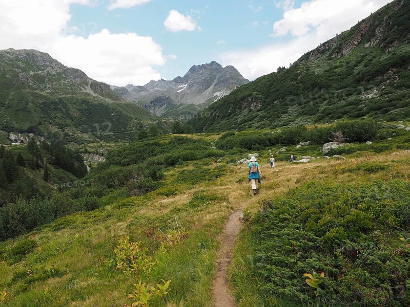 Summer mountain landscape with hiking trail, lush greenery and mountains in the background, people hiking relaxed, Binntal Landscape Park, Goms, Canton of Valais, Switzerland