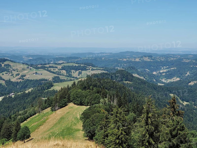 Wide mountain landscape with forests and pastures under a clear sky, Hüttchopf, Tösstal, Canton of Zurich, Switzerland