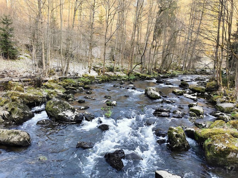 A clear river, Selbitz with rocks in a forest with a quiet atmosphere, Höllental, Frankenwald nature park Park, Upper Franconia