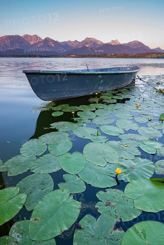 Rowing boat at sunrise, Hopfensee, Hopfen am See, near Füssen, Ostallgäu, Allgäu, Bavaria, Germany