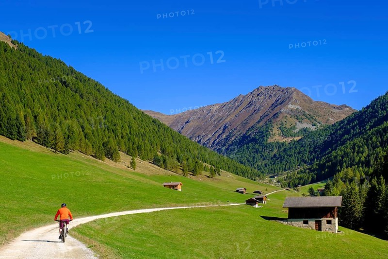Cyclists, mountain bikers, near Meransen, Altfasstal, Pustertal, South Tyrol, Italy