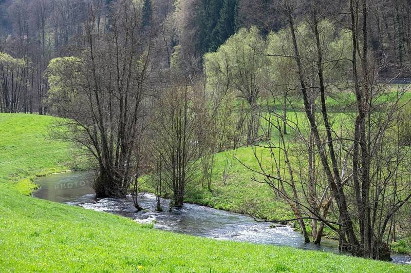 The Trubach river meanders through the spring-like Trubach Valley, Egloffstein, Upper Franconia, Bavaria, Germany