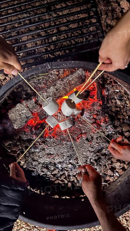Group of friends gathering around a blazing campfire, enjoying the warmth and joy of roasting sweet marshmallows on skewers during a nighttime outdoor camping adventure