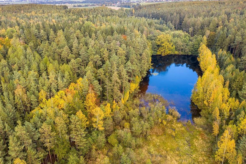 Fließteich, Germany, Oberer Fließteich, Pöllwitz Forest, Thuringia, Aerial View, Landscape, Aerial View, Landscape, Aerial View, Vogtland