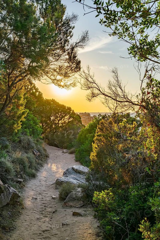 A little trail going through the bushes at the coastline at Costa Paradiso on a sunny day at sunset, Sardinia, Italy