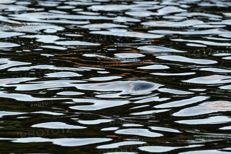 Bright light spots on dark sea surface, Møre og Romsdal county, Norway