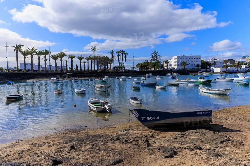 Lanzarote, Canary Islands, Spain, Europe, Charco San Gines harbour area in Arrecife, boats on the edge of the harbour, surrounded by palm trees and fields, under a partly cloudy sky