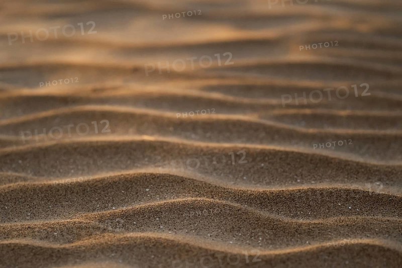 Wind drifts form small waves in sand, abstract pattern, Sortebærdalen Strand, Houvig, North Sea, Denmark