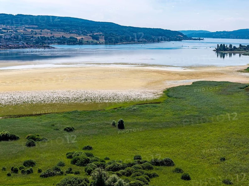 The 1, 300 meter long poplar alley on Reichenauer Damm connects the mainland near Constance with the UNESCO World Heritage island of Reichenau in Lake Constance. The distinctive dam marks the southern end of the German Avenue Road. The water level on Lake Constance is well below normal. Wollmatinger Ried landscape. Reichenau, Baden-Württemberg, Germany