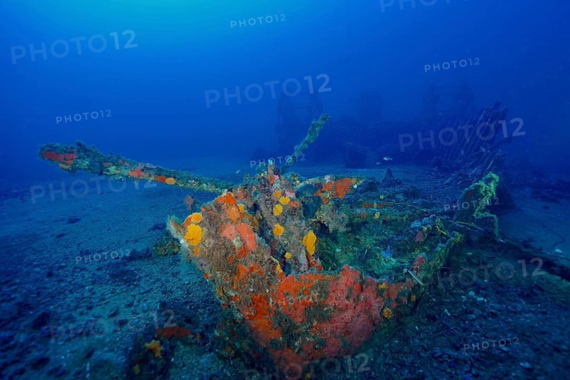 A rusted shipwreck full of colorful sea sponges at the bottom of the sea, Wreck Ville de Grasse dive site, Hyères, Giens Peninsula, Mediterranean Sea, Porquerolles, Provence, Côte d'Azur, France