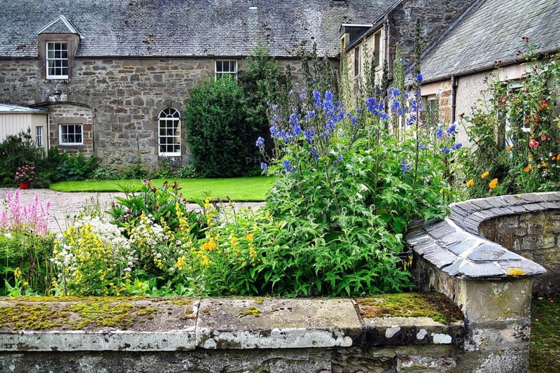 Cawdor Castle Walled Garden with Perennial Beds, Delphinium, Stone Wall, Nairn, Inverness, Scottish Highlands, Scotland, Great Britain