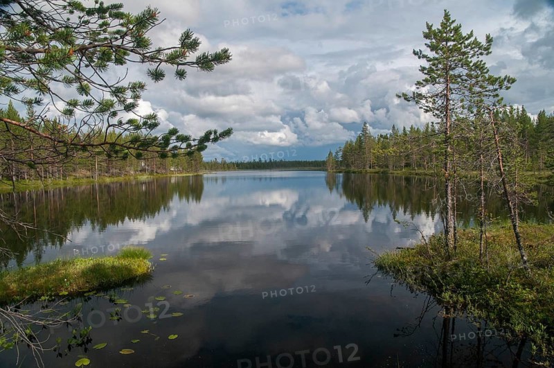 Finland, Bog, Countries, Lake, Landscape, Countries, Marsh, Moor, Travel, Lake, Travels