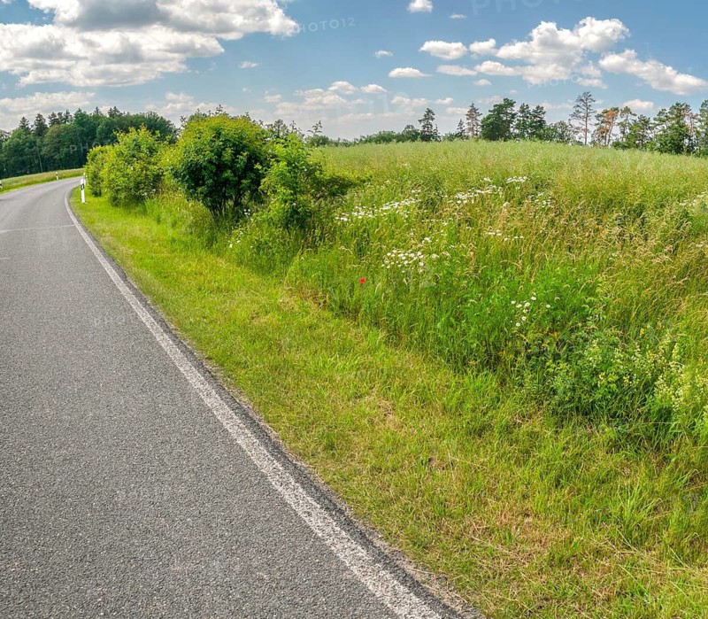 Roadside green, side green, flowering area, flower strips, ruderal surface, roadside, roadside strips
