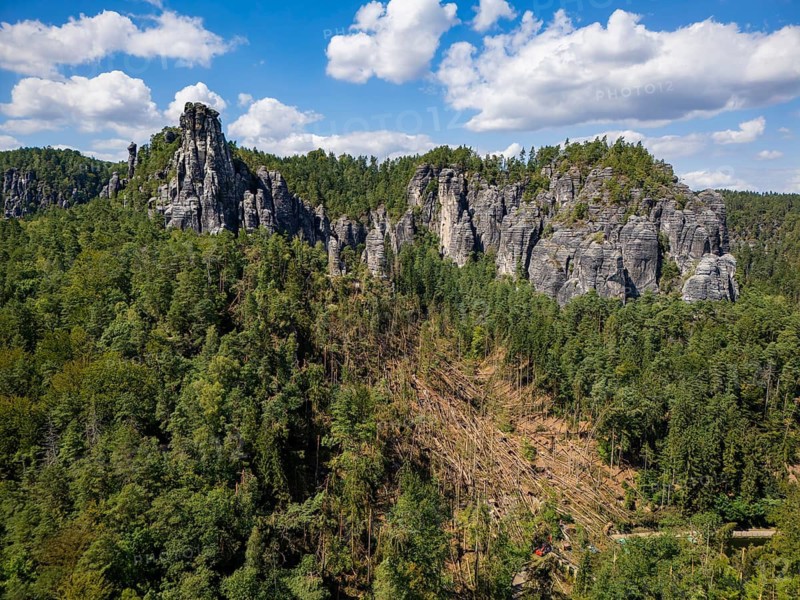 Damage pattern following the severe weather event of 31.7.26 in Wehl- und Amselgrund in the Bastei area, Rathen, Saxony, Germany