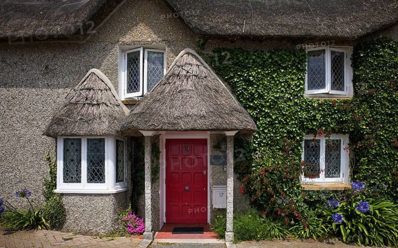Cottage, cottage, thatched, thatched, ivy, St Mawes, Cornwall, England, Great Britain