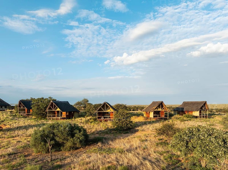The Ta Shebube Rooiputs Lodge in the Kalahari Desert during the rainy season with green vegetation. Aerial view. Drone shot. Kgalagadi Transfrontier Park, Botswana