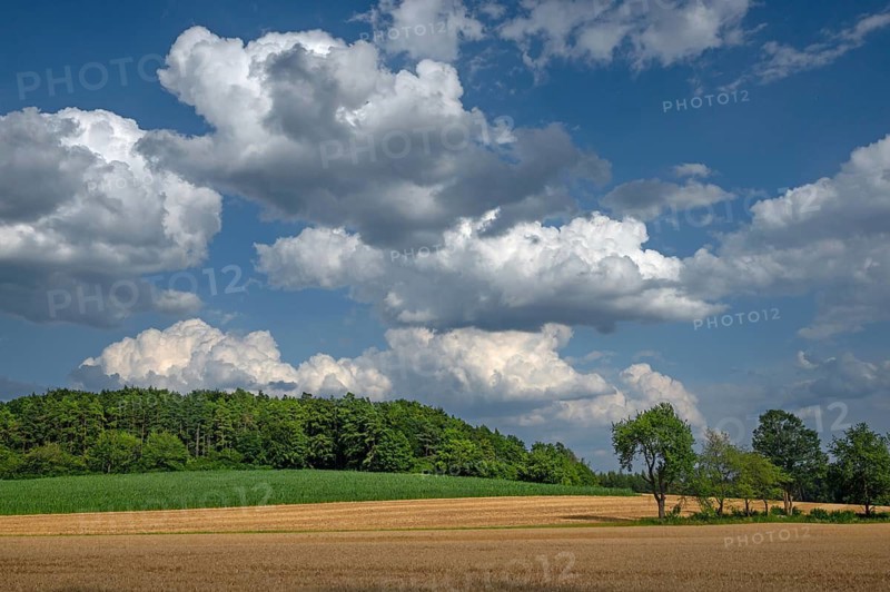 Cumulus clouds over a cornfield, Franconia, Bavaria, Germany