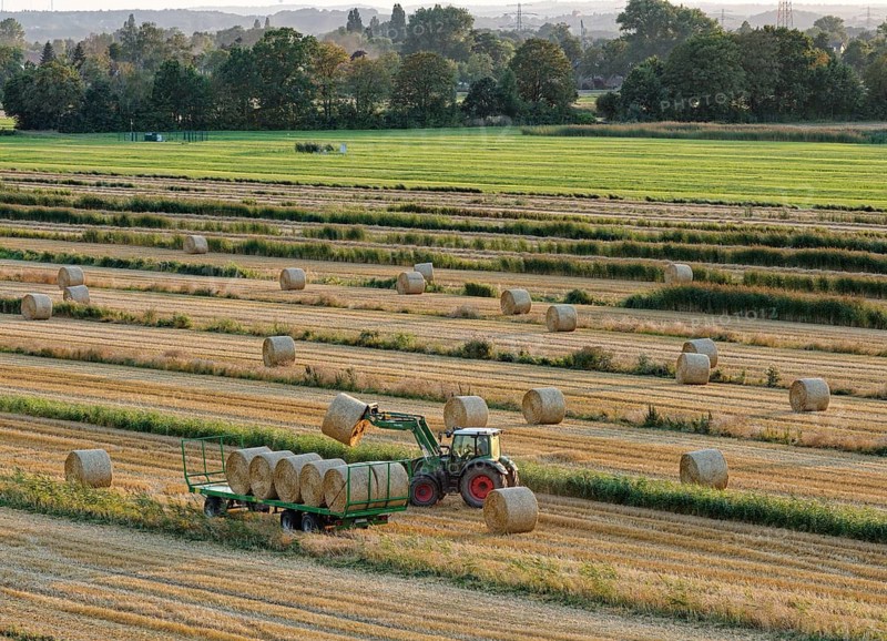 A farmer loads bales of straw, rolls of straw, onto a trailer in a field with a tractor. The field in Hamburg's Vier- und Marschlanden is criss-crossed by ditches. aerial view. Kirchwerder, Hamburg, Germany