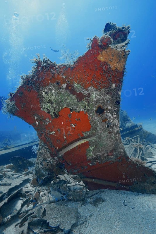 A piece of a rusty wreck under water covered with colorful sponges in the blue sea, meteor wreck dive site, Russian hydrofoil, Arguineguin, Gran Canaria, Spain, Europe, Atlantic