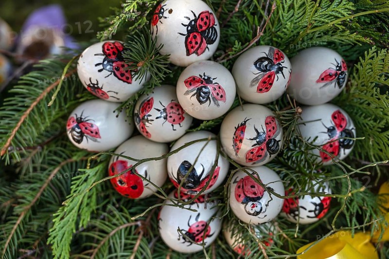 Hand-painted chicken eggs with ladybirds at Easter fountain in Eckenhaid, customs in Franconia, Eckental, Middle Franconia, Bavaria, Germany