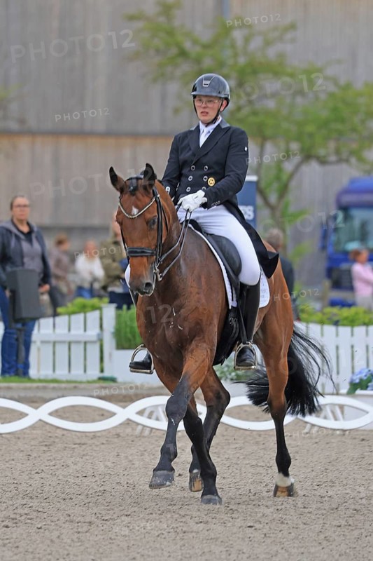Niklas Brokamp, dressage rider, Balve, North Rhine-Westphalia, Germany