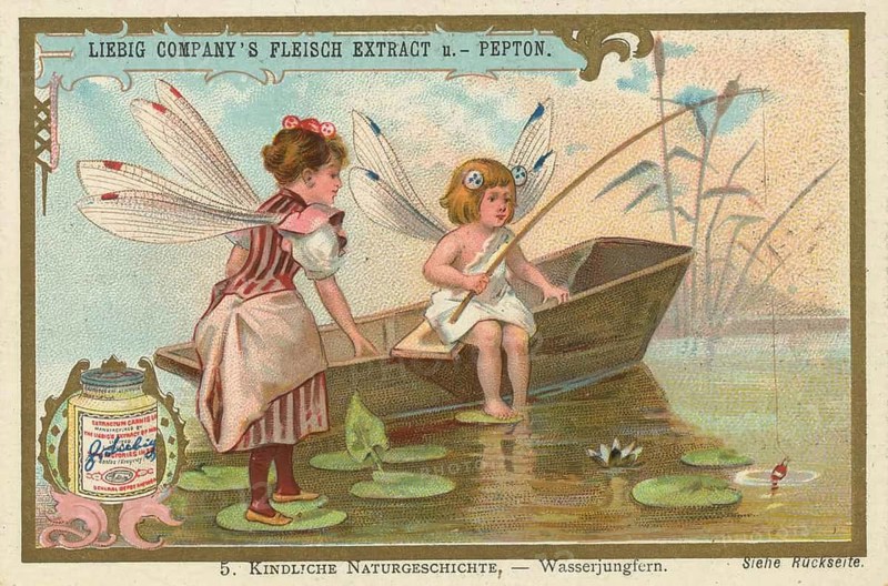 Picture series Children's Natural History, dragonflies, two children in imaginative insect costumes with dragonfly wings in a boat on a body of water, favorite picture, digitally restored reproduction of a collector's painting from around 1900, exact date unknown