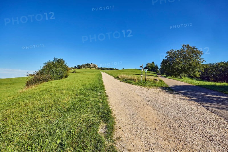 Hohentwiel mountain, fortress ruins of Hohentwiel, footpath made of cinder stones, narrow road made of asphalt, fork in the road, nature reserve, meadow, bushes, trees, landscape photography, hilly landscape, blue sky, cloudless, Hilzingen, Hegau, district of Constance, Baden-Württemberg, Germany