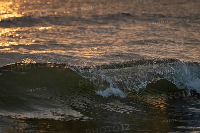 Detail, splashing seawater, breaking wave in evening light, Houvig Beach, North Sea, Denmark