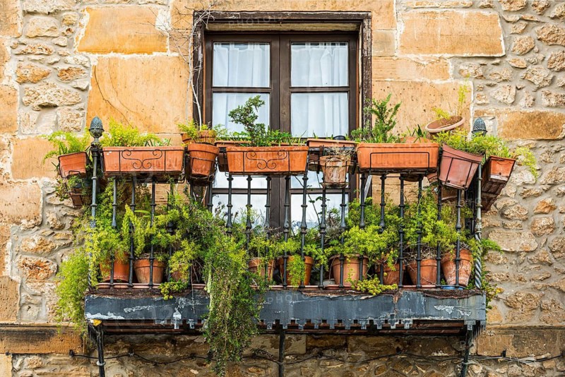 Historic balcony full of plants in Comillas, Spain