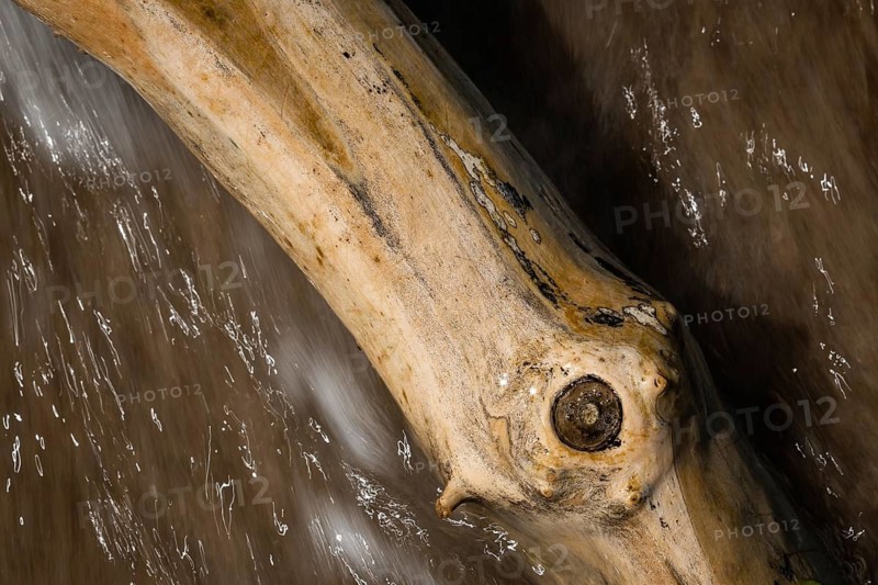 Piece of driftwood washed by surf, Houvig Beach, North Sea, Denmark