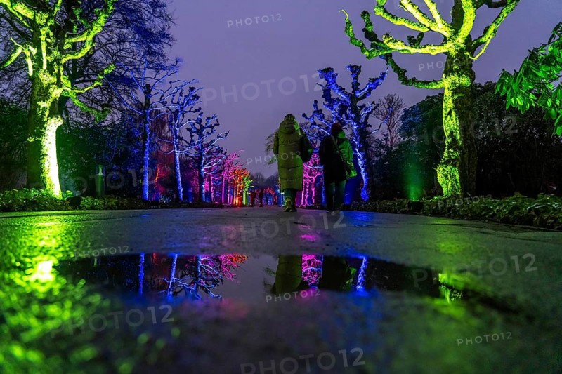 Park lights, events in winter, in the Grugapark in Essen, many different light installations, across the park, attract many thousands of visitors, North Rhine-Westphalia, Germany