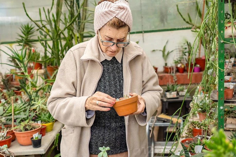Close-up of an older woman wearing glasses and a pink knit headband looking down through her glasses to closely examine a tiny succulent seedling in a small terracotta pot inside her greenhouse