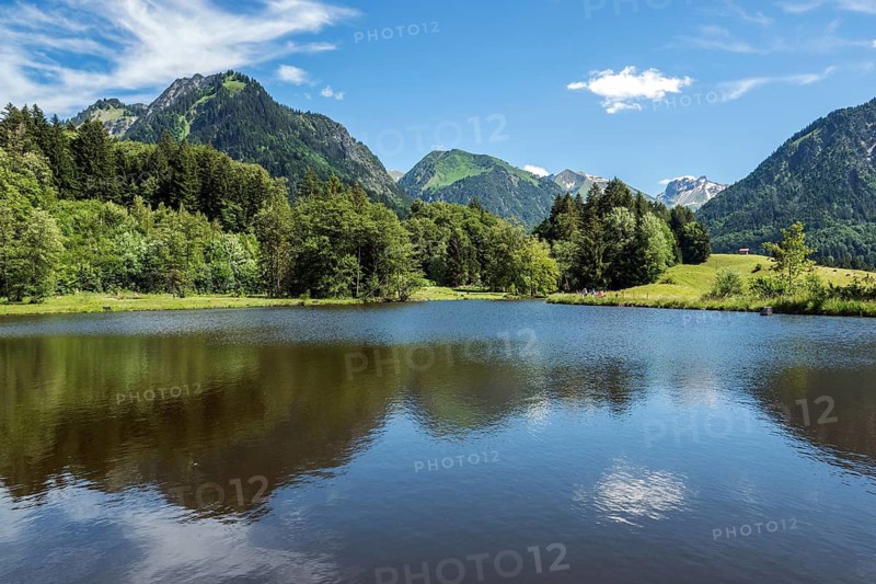 Marsh pond, Oberstdorf, Oberallgäu, Allgäu, Bavaria, Germany