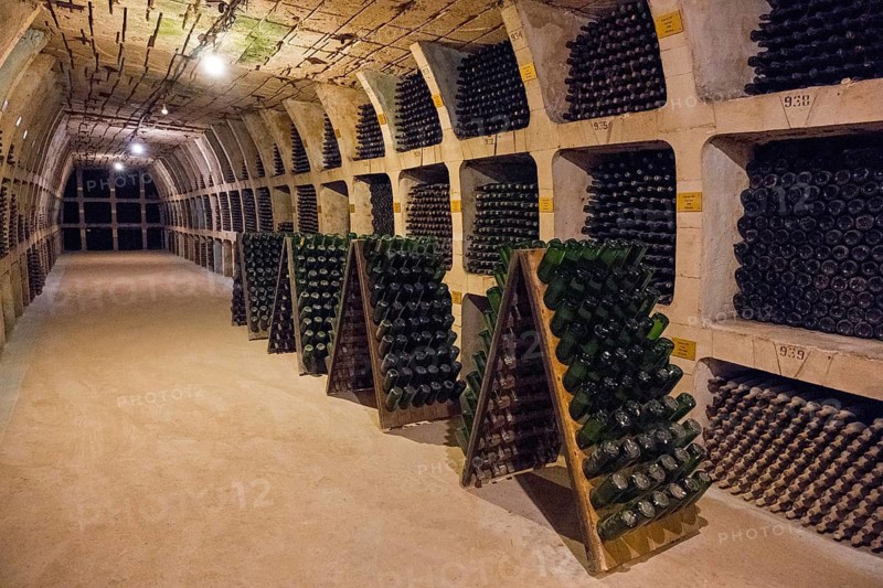 Underground wine cellar with bottle racks under warm artificial light, wine cellar, Milestii Mici Winery, Mile?tii Mici, Republic of Moldova, Moldova