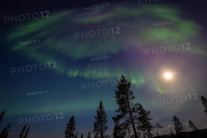 Northern Lights (Aurora borealis), Gällivare, Norrbotten, Lapland, Sweden, April 2025