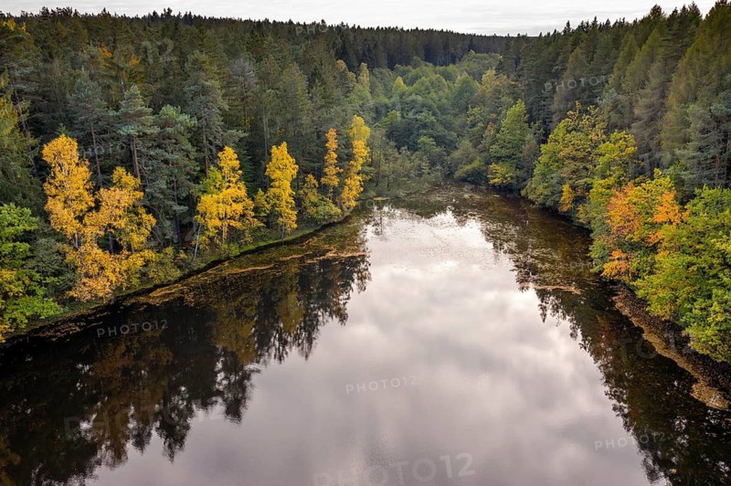 Floating ponds, Germany, Pöllwitz Forest, Thuringia, Lower Floeßteich, aerial view, landscape, aerial view, landscape, aerial view, Vogtland