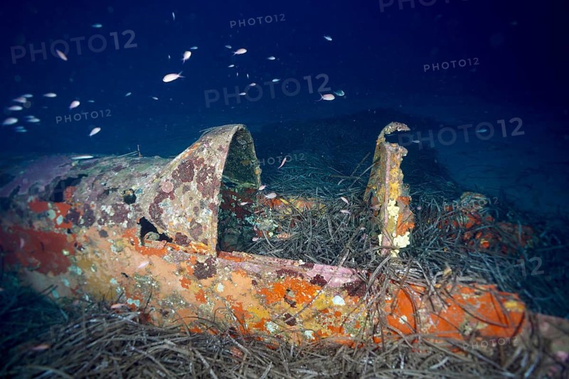 An abandoned aeroplane wreck, covered in sea sponges and surrounded by small fish – Mediterranean anthias (Anthias anthias) – lies underwater at the Mustang P51 aeroplane wreck dive site, Hyères, Giens Peninsula, Provence-Alpes-Côte d'Azur, France