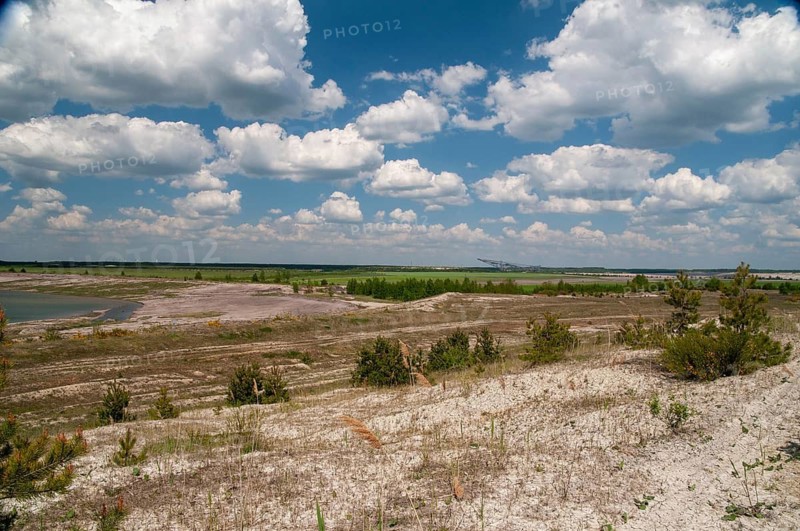 2008, Brandenburg, Germany, Nabu, Nabu Project, national natural heritage, natural paradise Grünhaus, Nordrandschlauch, post-mining landscape, Grünhaus, landscape