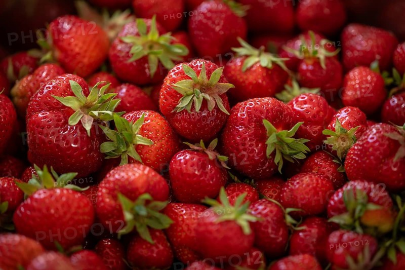 Freshly picked strawberries, Baden-Württemberg, Germany
