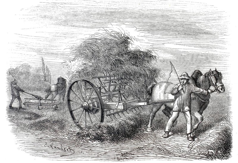 Hayturning machine, fork turner, from the 19th century harvesting haymaking in a field. In the foreground, a workhorse pulls a mechanical haymaking machine. A farmer guides the horse by the reins and holds a whip. The device picks up the mowed grass or hay and throws it up for drying, authentic, high-resolution reproduction from a 19th century original, exact date of presentation unknown, historical