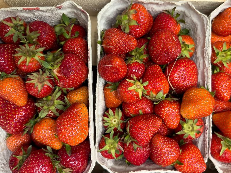 Freshly picked red strawberries fruit in small cardboard basket displayed by grocery store grocer, international