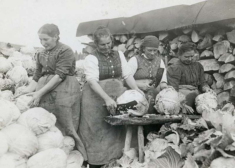 Bavaria, white cabbage, cleaning cabbage for the market, woman's work, agricultural work, poverty, woman harvesting and preparing cabbage heads in a field, Philipp Kester, around 1906