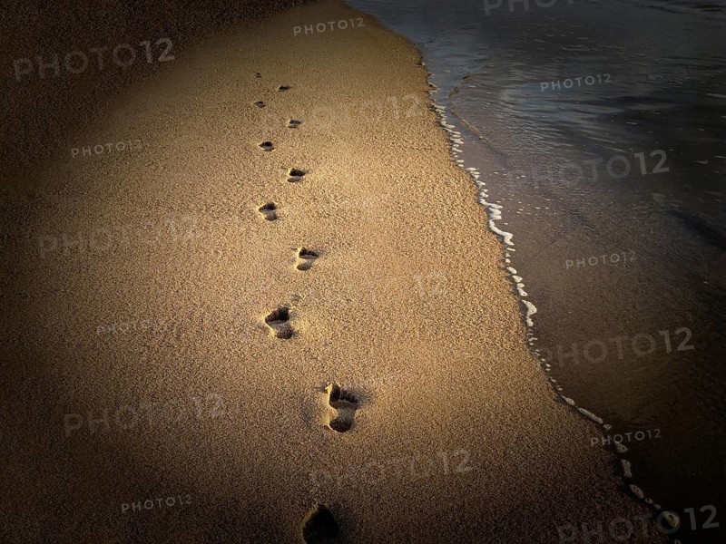 Footprints in sand, sandy beach, barefoot walking at sea, path, symbolic photo, Sylt, North Sea, Germany
