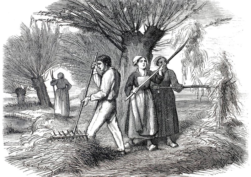 A group of French farmers harvesting hay in 1859. In the foreground, a male farmer can be seen raking the hay together with a large wooden rake. To his right stand two woman in traditional dress and head coverings (bonnets), who are piling up the dried grass with pitchforks. In the background on the left, another person can be seen working in the field, an authentic, high-resolution reproduction of a 19th-century original, exact date of the depiction unknown, historical