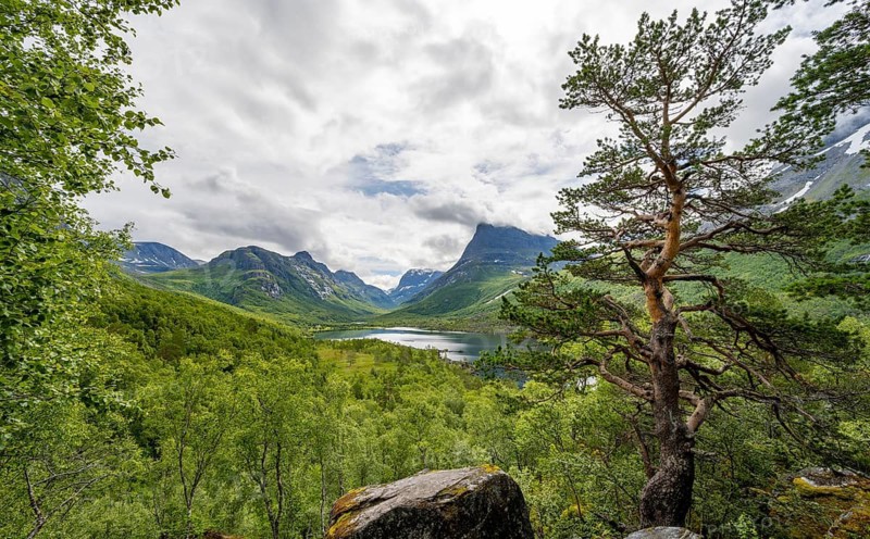 Innerdalen high valley with lake Innerdalsvatna, mountains, right Innerdalstårnet, Trollheimen, Sunndal, Møre og Romsdal, Vestlandet, Norway