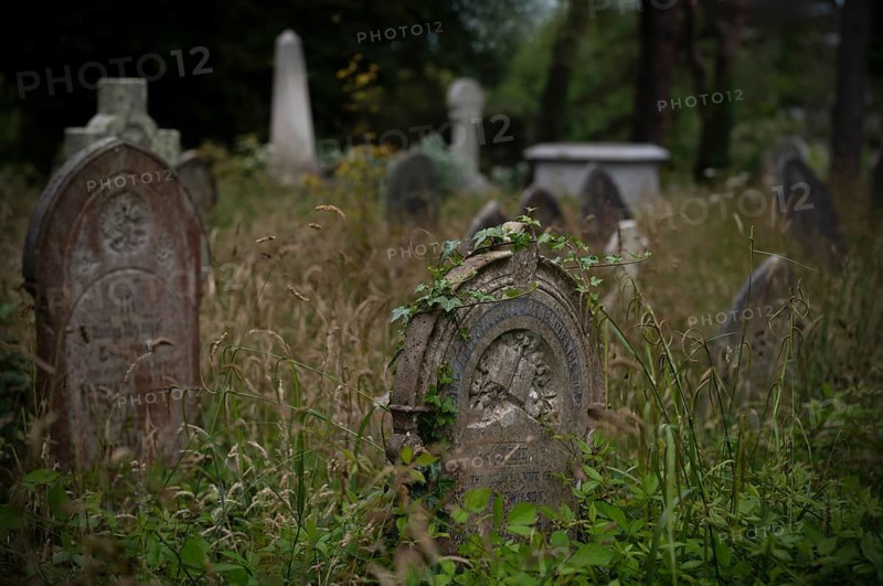 Weathered graves, headstones, ivy, municipal cemetery, Falmouth, Cornwall, England, Great Britain, Great Britain